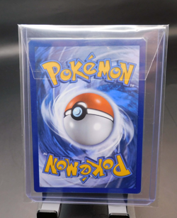 Squirtle SWSH233 SWSH: Sword & Shield Promo Cards Holo - Image 2
