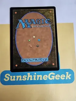 Northern Paladin (Rainbow Foil) Secret Lair Drop Foil - Image 3