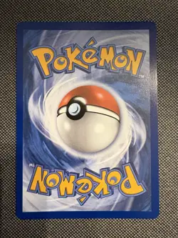 Pokemon Tin Mega Charizard Y Ex & Mega Charizard X Ex - Image 3