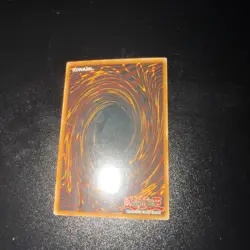 Yugioh HP/DMG MISSING NAME Misprint Dark Paladin DMG-001 Secret Rare NO IMPRINT - Image 3