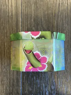Pokemon TCG 2010 HeartGold & Soulsilver Set Of Meganium & Feraligatr Tins EMPTY - Image 5