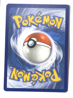 Shuckle 085/185 Vivid Voltage Reverse Holo Uncommon Pokemon NEAR MINT NM - Image 2