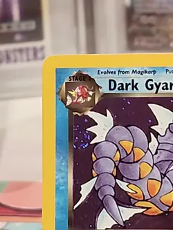 Dark Gyarados 8/82 Holo Team Rocket Prerelease Promo Pokemon Card - NM - Image 3