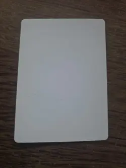 The Lady Of The Mountain Artist Proof SIGNED By Richard Kane Ferguson Mtg - Image 2