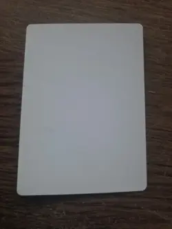 Livonya Silone Artist Proof SIGNED By Richard Kane Ferguson Magic the Gathering - Image 2