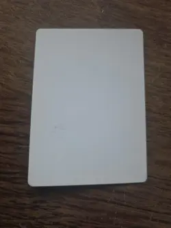 Riven Turnbull Artist Proof SIGNED By Richard Kane Ferguson Magic the Gathering - Image 2