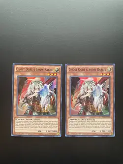 Yugioh Ghost Ogre & Snow Rabbit CT13-EN012 Super Rare Limited Edition LP/MP X2 - Image 1
