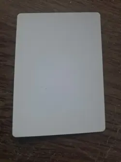 Jasmine Boreal Artist Proof SIGNED By Richard Kane Ferguson Mtg - Image 2