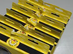 Pokemon Day 2026 Collection TCG Lot of (6) Boxes Brand New Factory Sealed - Image 5