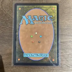 MTG Garland, Royal Kidnapper | Non-Foil | FINAL FANTASY Borderless | Scene Box - Image 2