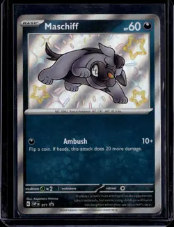 Maschiff - SVP 071 / S&V Black Star Promo 2024 (NM) / Pokemon TCG - Image 1