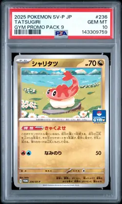 2025 POKEMON JAPANESE SV-P PROMO GYM PROMO PACK 9 #236 TATSUGIRI PSA 10 - Image 1