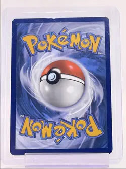 FIDOUGH 2024 POKEMON SCARLET & VIOLET BLACK STAR PROMO #069 Q1652 - Image 2