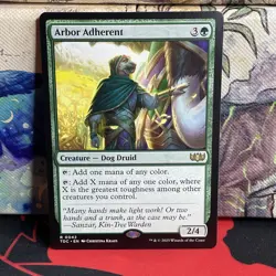Arbor Adherent #0042 Commander: Tarkir: Dragonstorm Regular NM - Image 1