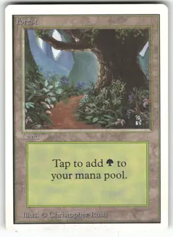 Forest (B) Unlimited Edition Land Magic: the gathering Near Mint or Better - Image 1