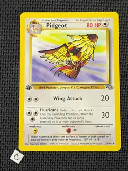 Pidgeot 24/64 - Jungle 1st Edition Non-Holo Rare Pokemon TCG NM - Image 1