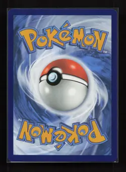 Skwovet 222/198 Illustration Rare Scarlet & Violet Pokemon Near Mint - Image 2