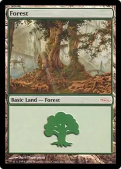 [1x] Forest - Arena 2005 Slight Play, English Arena Promos MTG Magic - Image 1