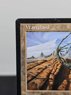 Wasteland — Tempest — Moderately Played — Edge Wear & Warp — Magic The Gathering - Image 2