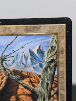 Wasteland — Tempest — Moderately Played — Edge Wear & Warp — Magic The Gathering - Image 5