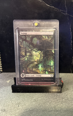 MTG Swamp (0281) - Lorwyn Eclipsed (ECL) #281 Magic the Gathering - Image 1