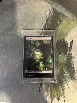 MTG Swamp (0281) - Lorwyn Eclipsed (ECL) #281 Magic the Gathering - Image 4