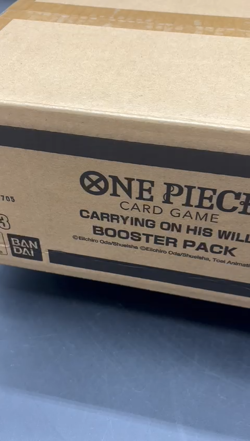 One Piece Card Game OP-13 Carrying On His Will Booster Box Case SEALED English - Image 2