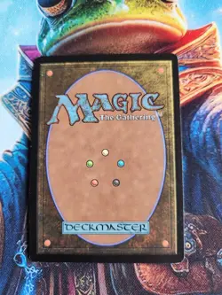 MTG Kodama's Reach - Champions of Kamigawa Regular - Signed By Artist, LP - Image 2