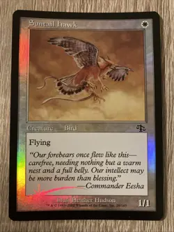 Suntail Hawk Foil Judgement - Near Mint - Image 1