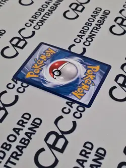 Pokemon S-Chinese Promo 082/S-P Friends in Galar – 1st Anniversary - Image 4