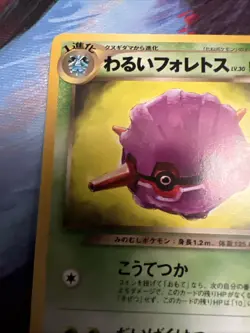 SWEET GRANNY Forretress 205 Neo Destiny Japanese Old Back Pokemon MPThursday - Image 3