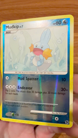 Mudkip 80/106 Great Encounters Reverse Holo Pokemon Card - Image 2