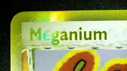 Meganium Delta Species 4/101 Stamped Pokemon EX Dragon Frontiers Reverse Holo LP - Image 4