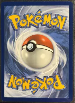 Koraidon 8/15 - 2024 Pokemon TCG Holo McDonalds Promo - NM/M Card - Image 2