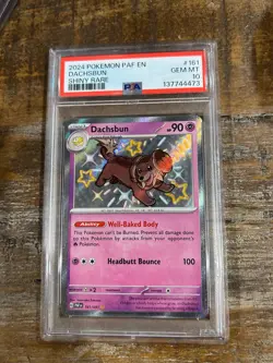 POKEMON 2024 Paldean Fates Shiny Rare DACHSBUN #161 PSA 10 Gem Mint RARE - Image 1
