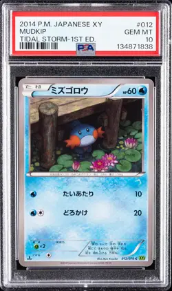 2014 POKEMON JPN XY TIDAL STORM 1ST ED #012 MUDKIP PSA 10 - Image 1