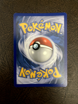 Scraggy - BW25 Black and White Promos #BW25 Promo Holo NM Pokemon - Image 2