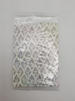 Pokemon Card - Eevee SVP 173 - Prismatic Elite Trainer Box Promo - Sealed - Image 2
