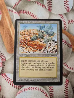 Diamond Valley Arabian Nights Regular - Image 1