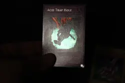 Yugioh Card Lot LP-DMG Secret Rare Seiyaryu, Salamandra, Acid Trap Hole DDS - Image 4