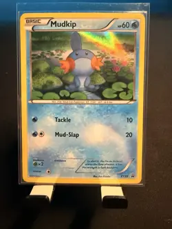 Pokemon TCG Mudkip XY38 Holo Black Star Promo Card 2014 NM Condition - Image 1