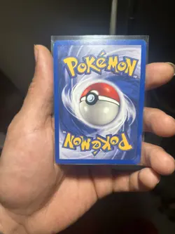 Dark Gyarados 8/82 Holo Team Rocket Prerelease Promo Pokemon Card - NM - Image 4