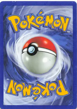 Wartortle #42 Base Set (FR) Pokemon TCG 1999 - Image 2