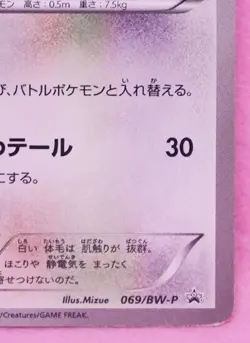 Cinccino Promo 069/BW-P 2011 Vintage Rare Nintendo Pokemon Card Japanese F/S - Image 5