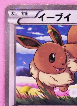 Eevee Holo Seven Eleven Promo 235/BW-P 2013 Nintendo Pokemon Card Japanese F/S - Image 2