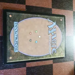 Mtg Timber Protector LP/NM Lorwyn Treefolk Magic Card Rare - Image 5