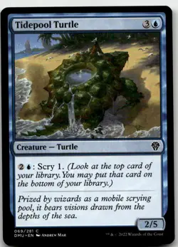 Tidepool Turtle, Dominaria United #69 MTG - Image 1