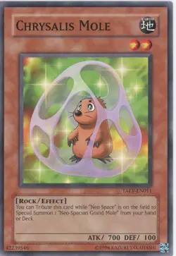 Yugioh Chrysalis Mole TAEV-EN011 common 1st Edition LP - Image 1