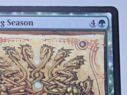 Magic The Gathering- FDN - Doubling Season Foundations - Regular - Image 3