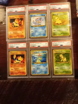 Set Of 6 PSA Slabs Pokemon Premium File 2000 Japan Cyndaquil Totodile Chikorita - Image 1